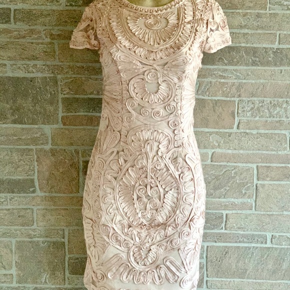 JS Collections Blush Soutache Dress - Picture 6 of 6